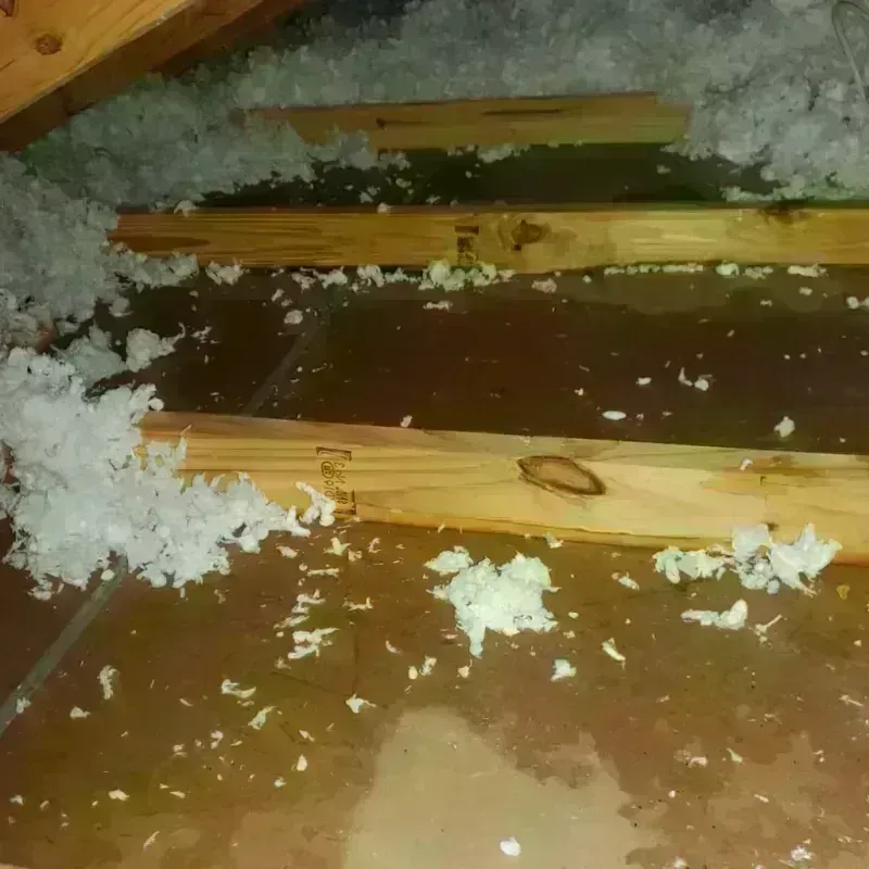 Attic Water Damage in Yabucoa, PR